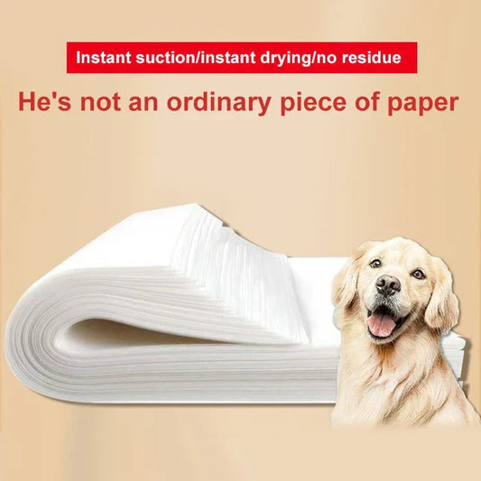 Urine Absorption Paper Pet